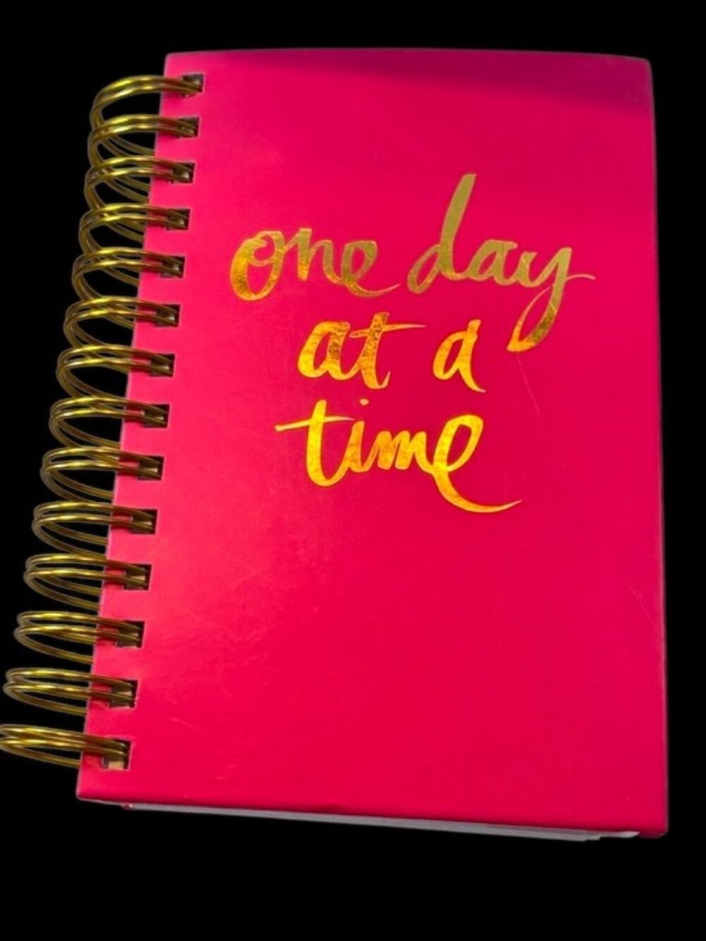 NWOT-Heidi Swapp “One Day at a Time” 12 Month Memory Planner-Fuchsia Pink/Gold